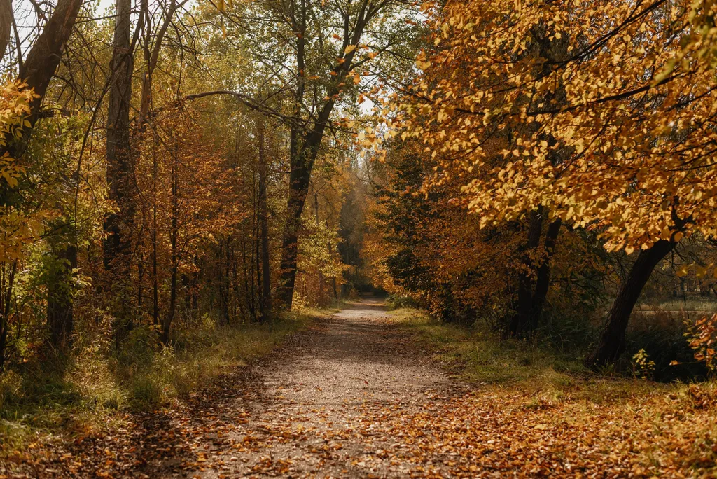 Атмосферная двухуровневая квартира с видом на Петропавловский парк