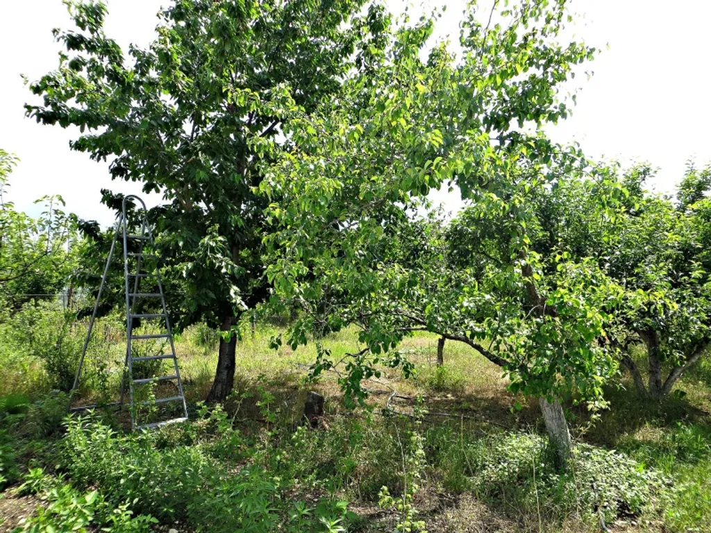 Коттедж Уютный индивидуальный домик в пригороде — Доброе