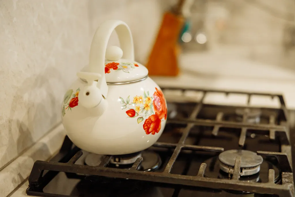 Дом в центре города