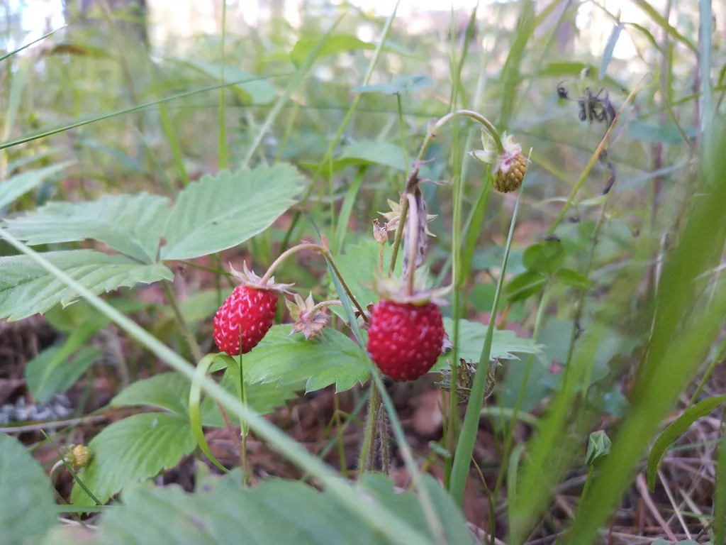 Дом на берегу протоки, ведущей в Вышневолоцкое водохранилище