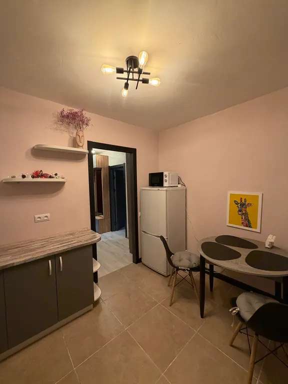 1-комнатная квартира 3 км от центра.