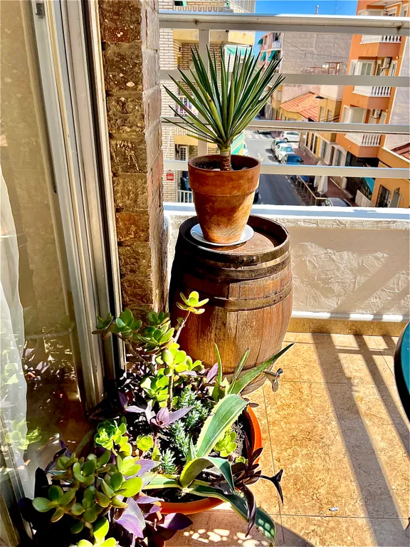 4-комнатная квартира на море и лучшем пляже города Торревьеха