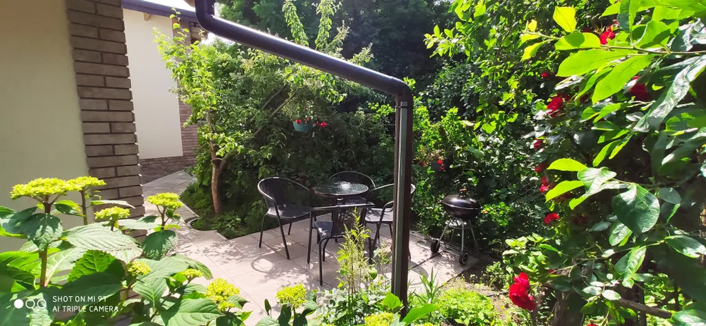 Светлая и просторная студия в чудесном саду для отдыха под шум моря