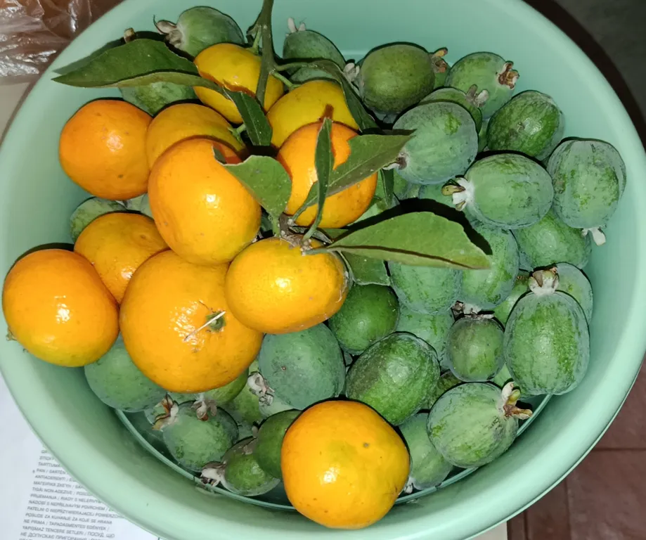 Двухкомнатные апартаменты на берегу моря