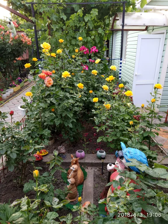 Домик у моря