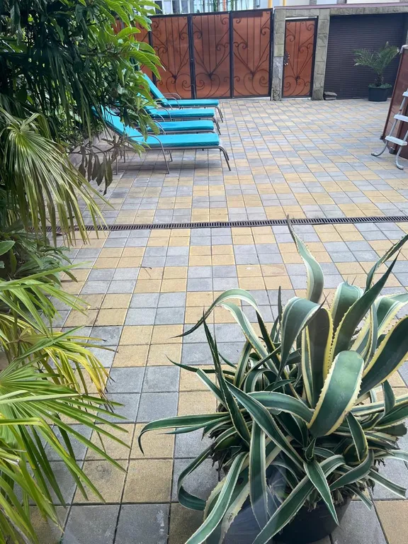 Апартаменты с видом на море в центре