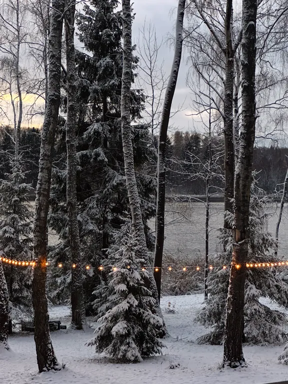 Уютный дом на живописной поляне в лесу с панорамными окнами