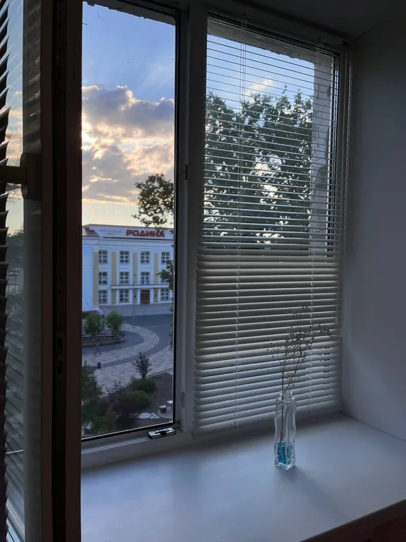 Квартира с видом на городской парк