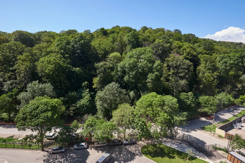 Кудепста 320