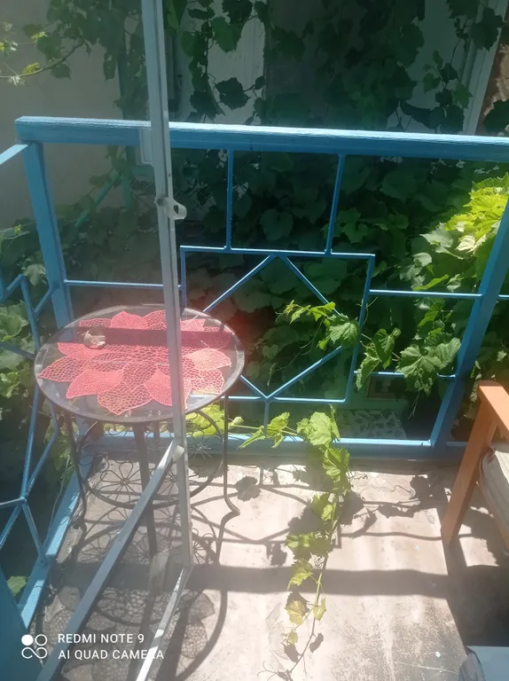 Квартира Уютная комната в частном доме Стандарт — Заозёрное