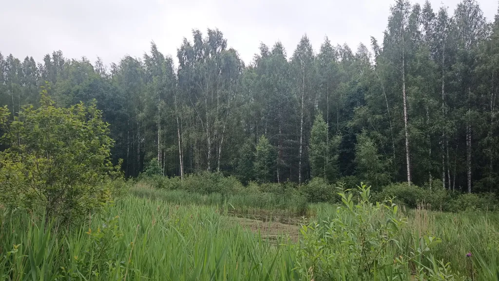 Дом на берегу протоки, ведущей в Вышневолоцкое водохранилище