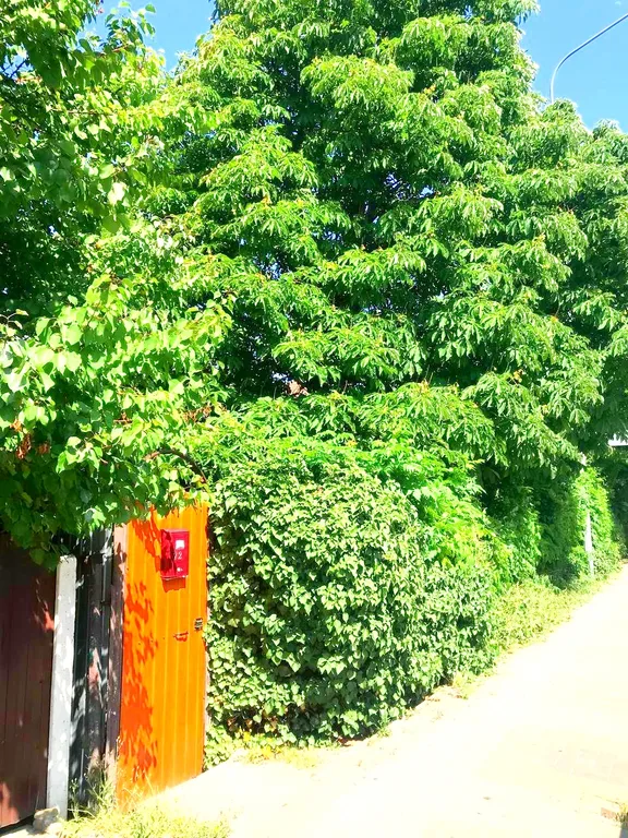 Уютный дом для 5 человек в центре Геленджика