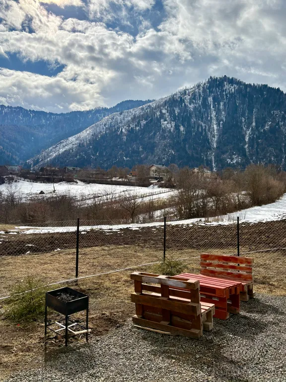 Шале Кедари