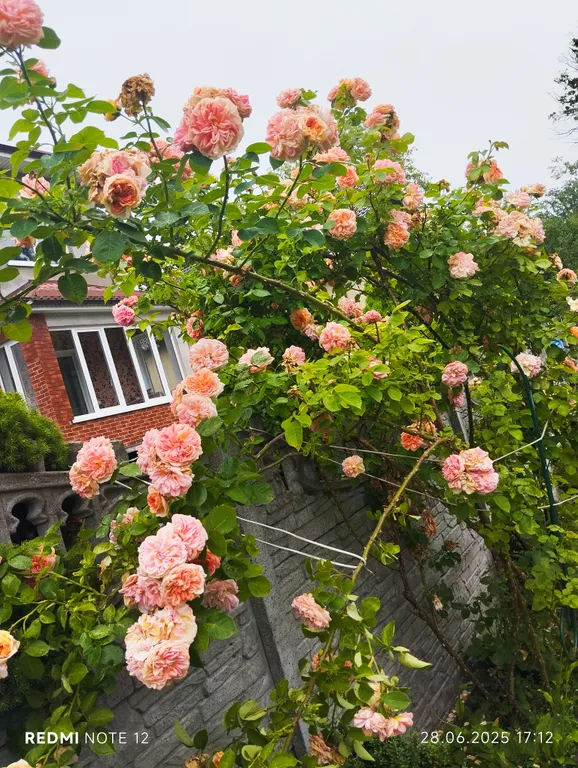 Мечта туриста