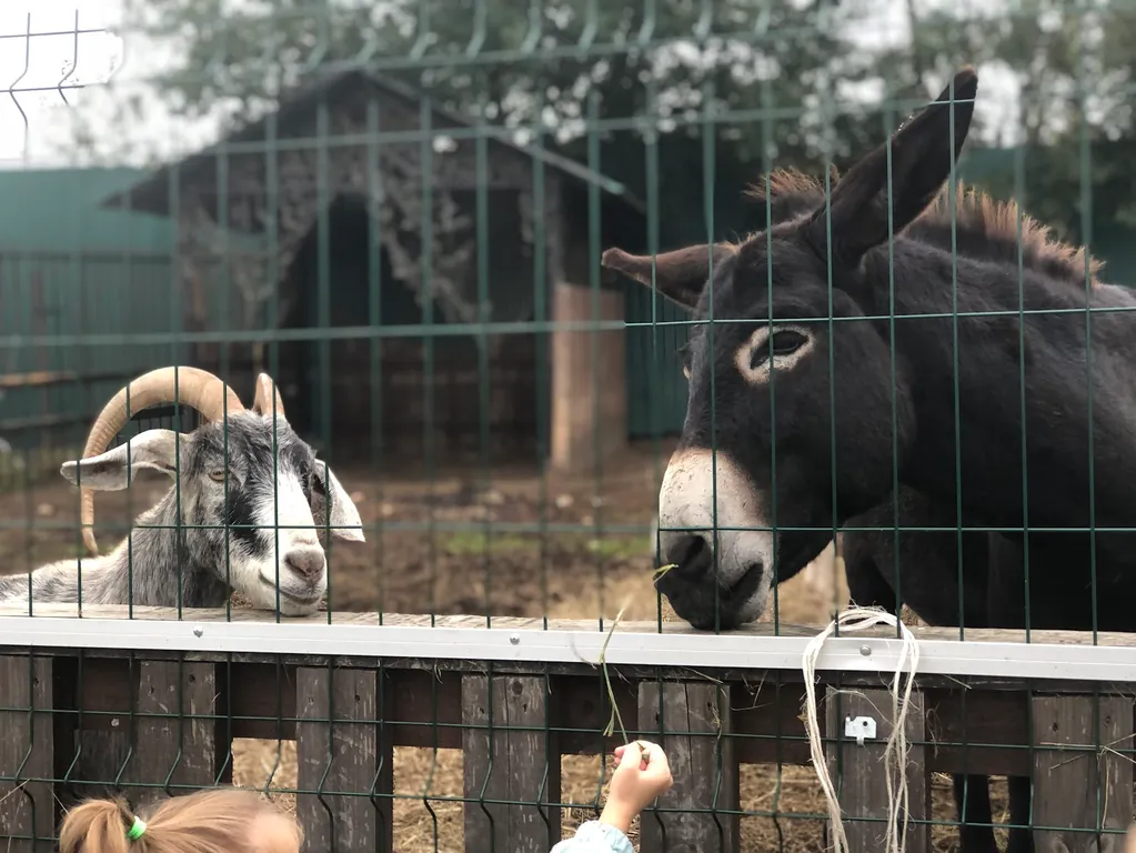 Уютный Family House