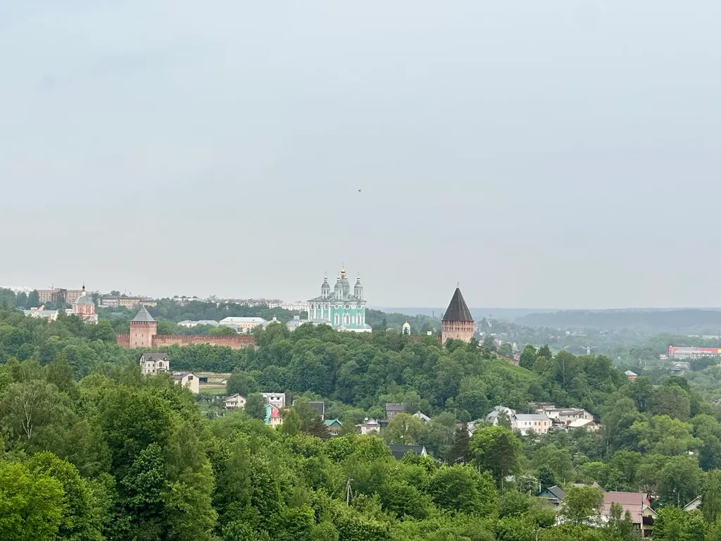 Шикарный вид из окна