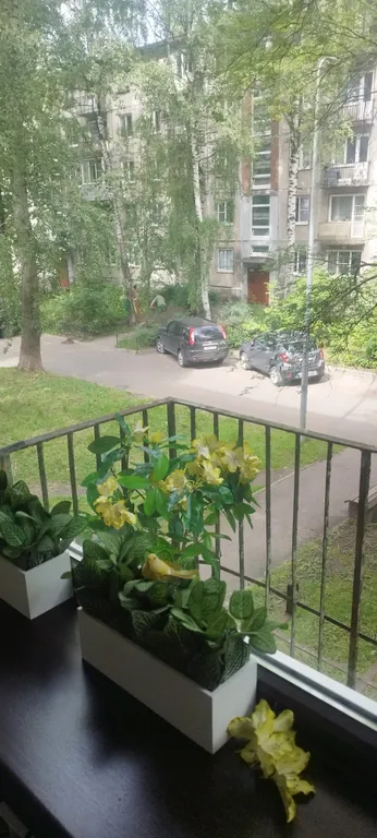 Квартира Уютная квартира недалеко от центра — Санкт-Петербург