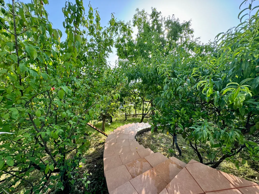 Дом с бассейном