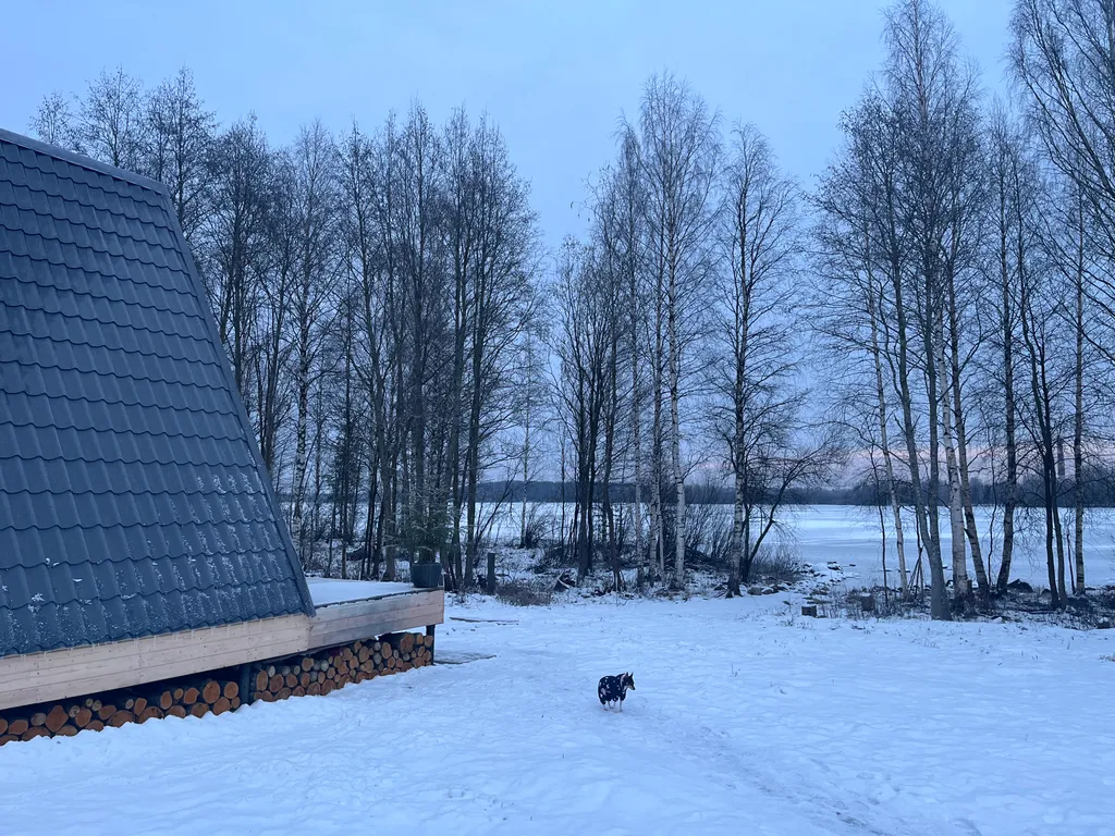 Гостевой дом в стиле А-фрейм Suvi в Карелии