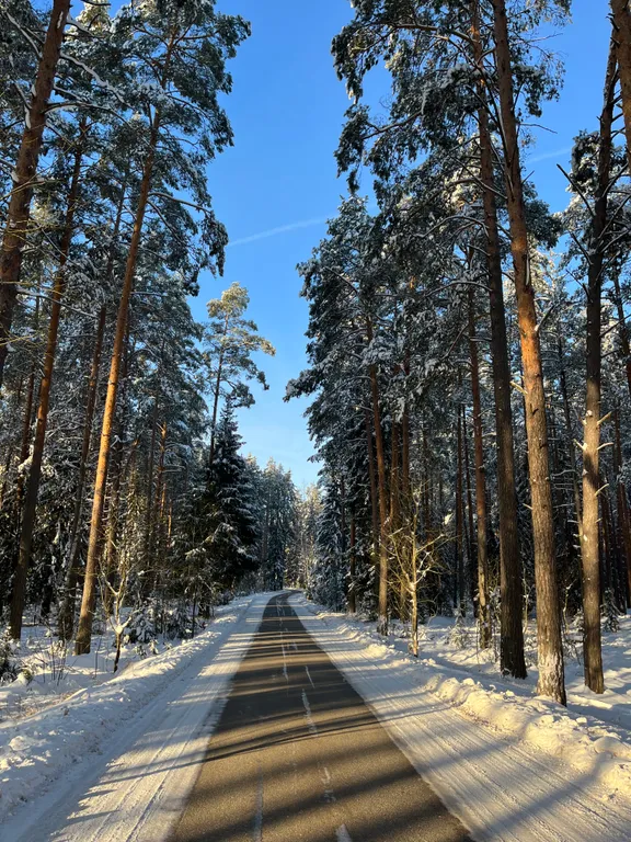 Гостевой дом Оршинский