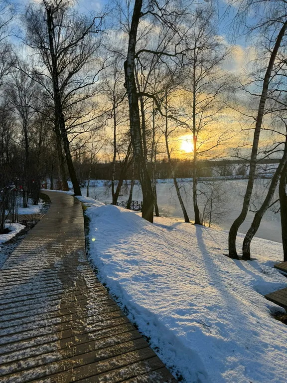 Уютный дом на берегу озера в березовой роще