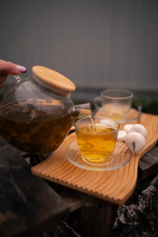 Треугольный дом шале