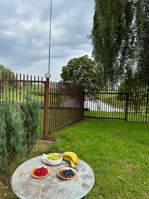 Дом с баней на берегу Волги