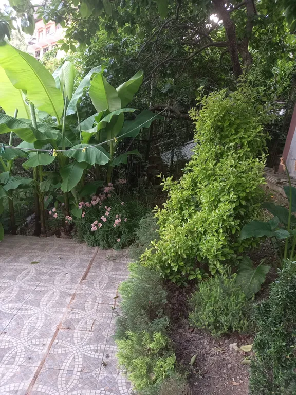 Квартира Уютная квартира  в центре города возле парка Дендрарий одна на этаже. — Сочи