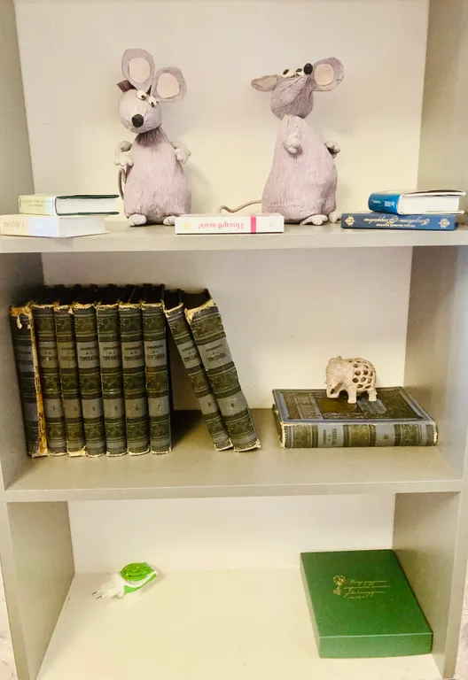 Атмосферная квартира на Неве