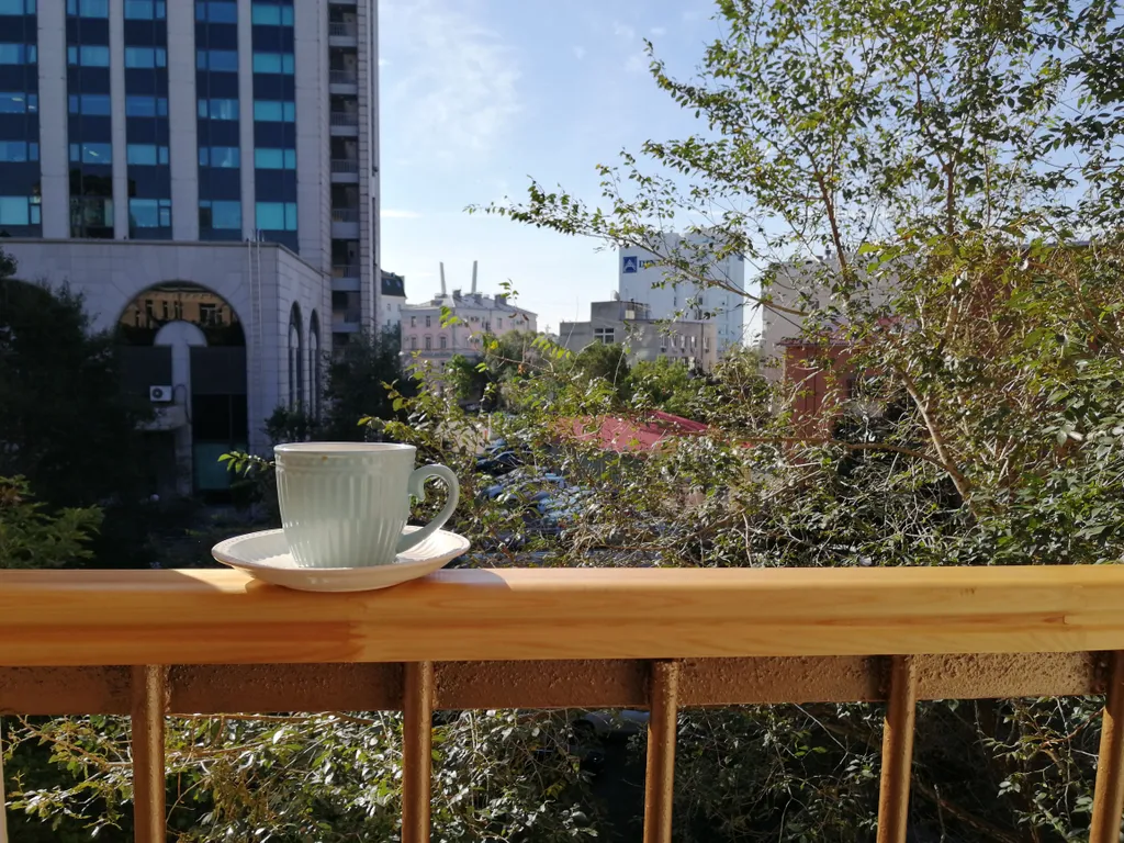 2-комнатная сталинка с террасой в ультрацентре с парковочным местом