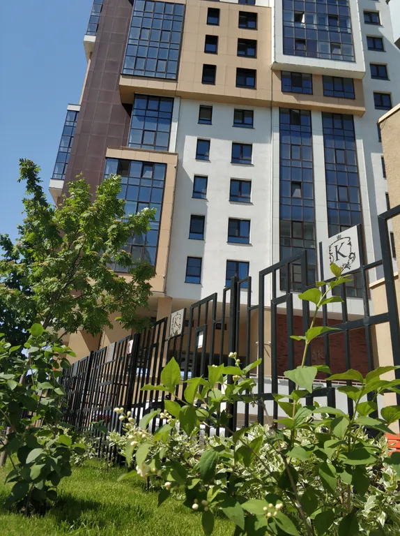 Зоопарк за окном