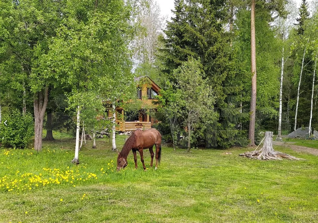 Домик на берегу реки