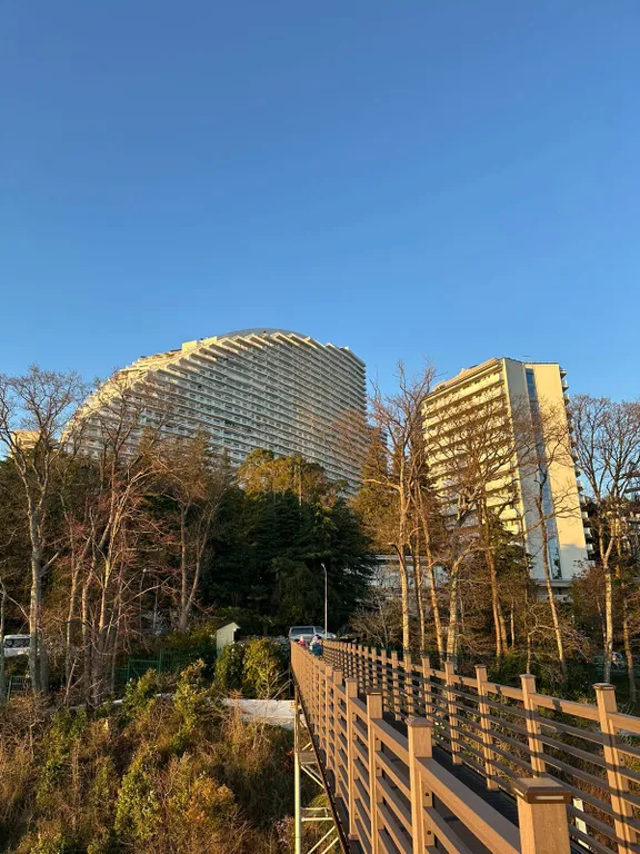 Видовой апартамент в ЖК Актёр Гэлекси