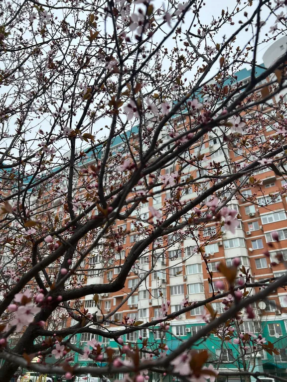 Квартира Квартира у парка с видом на реку — Краснодар