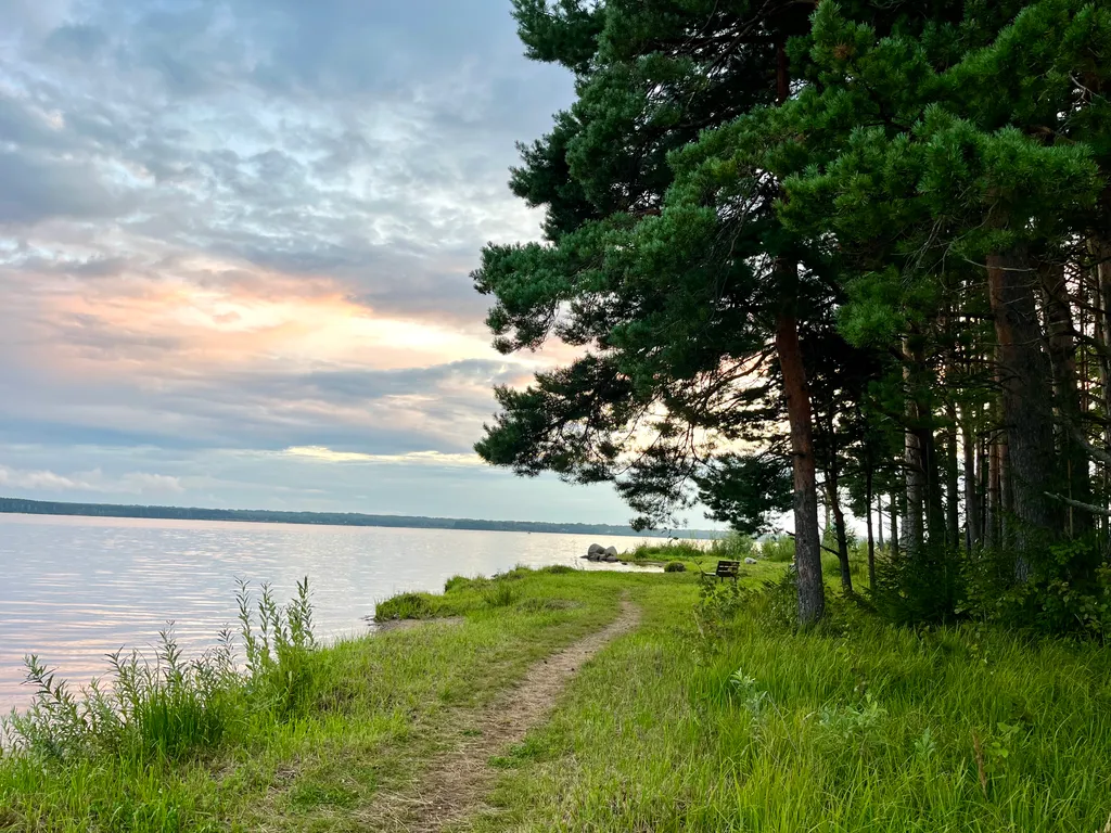 Коттедж Уютный домик на озере Волго на Селигере в сосновом бору — Турбаза Чайка