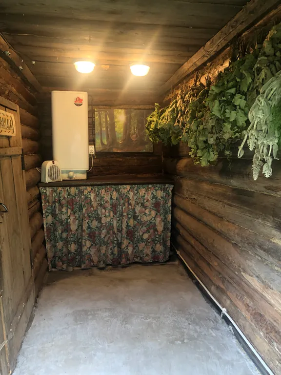 Маленький дом увитый виноградом