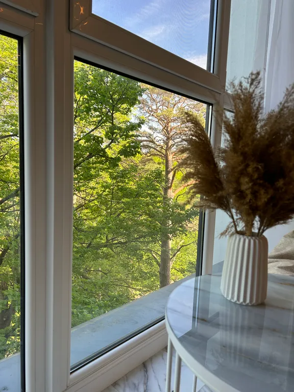 Квартира Апартаменты с видом на парк — Светлогорск