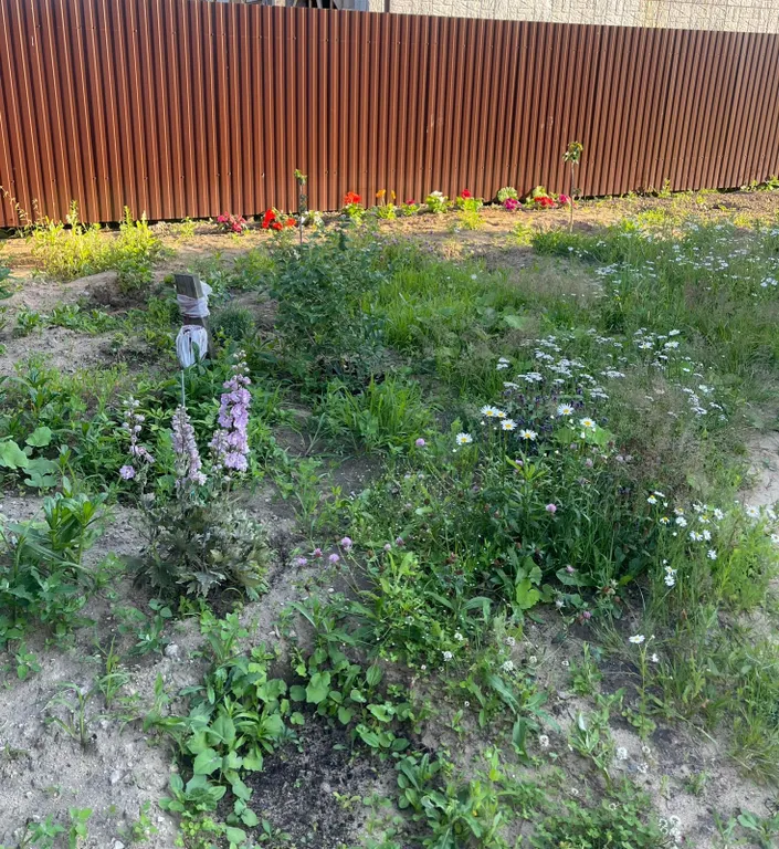 Уютный дом у леса и озера