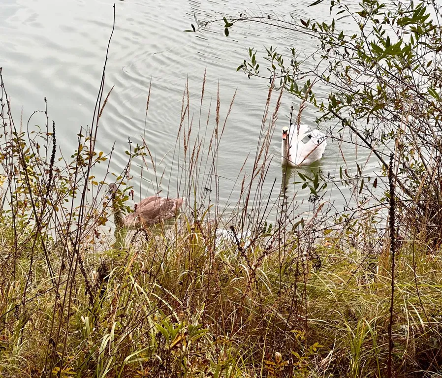 Эксклюзивный коттедж в поселке бизнес-класса