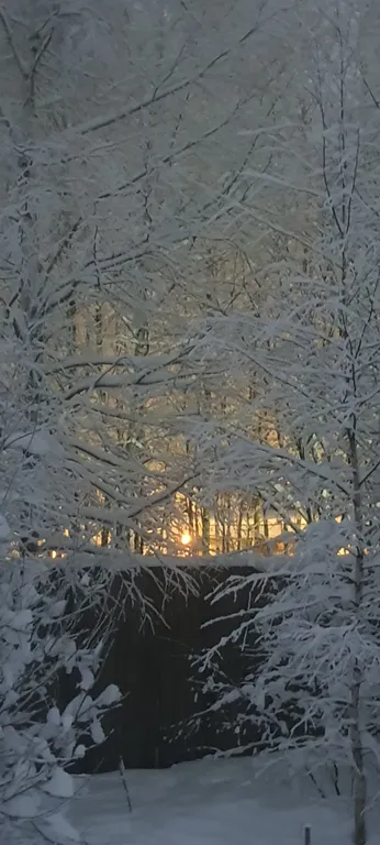 Коттедж Дом (A) с сауной и видом на лес — Пашуково