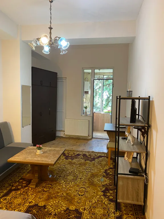 Однокомнатная квартира в центре города