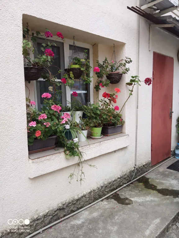 Коттедж Домик у моря — Адлер