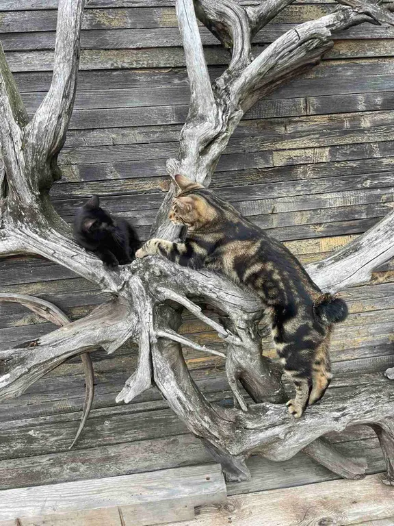 Эко комплекс Этнос на реке Чусовая, для семейного отдыха и туристов