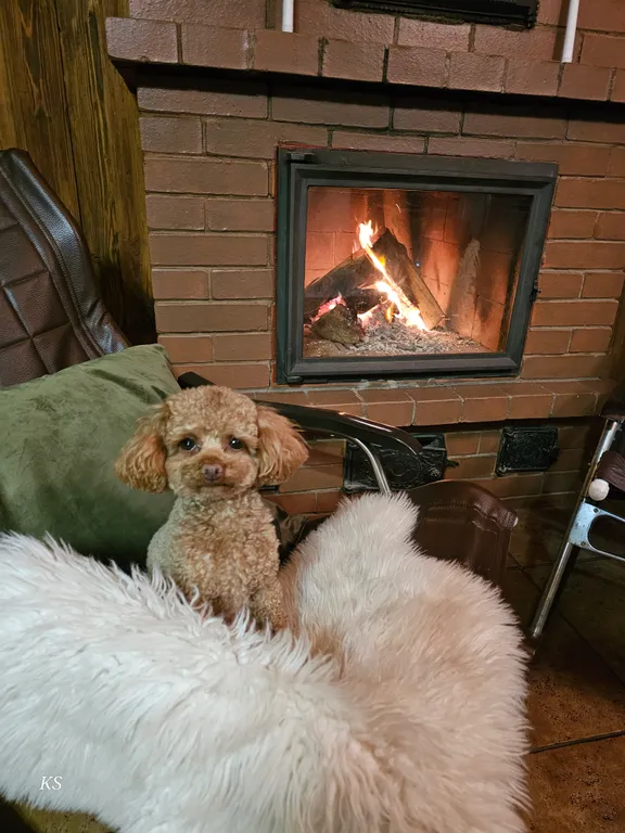 Дом радости и тёплых эмоций в тихой деревне рядом с Минском