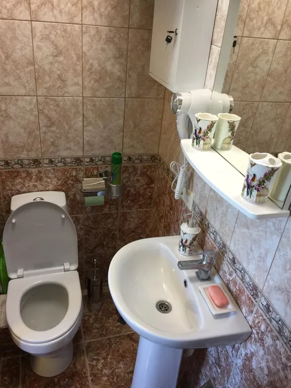 Уютные апартаменты с видом на горы