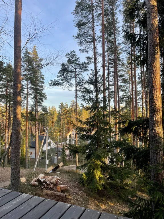 A-frame у Финского Залива посреди Корабельных сосен