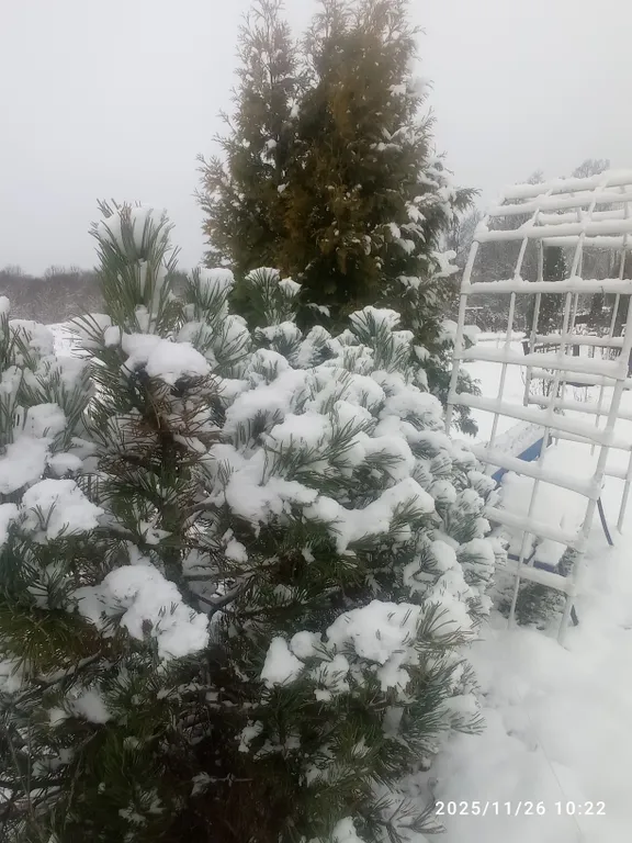 Апартаменты с камином