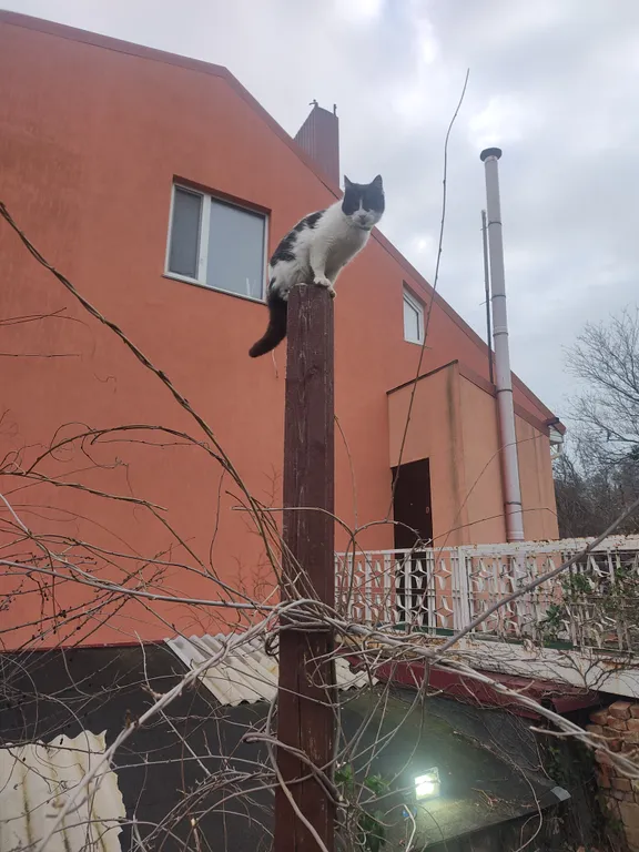 Вау-апартаменты Романтика