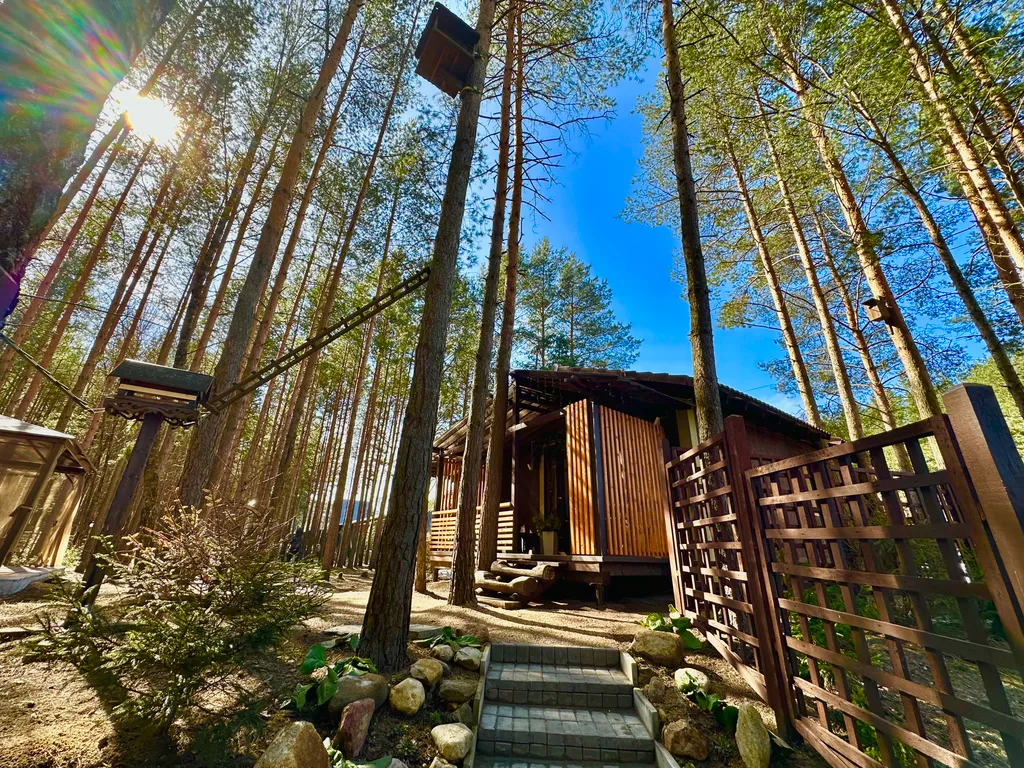 Шале в сосновом бору