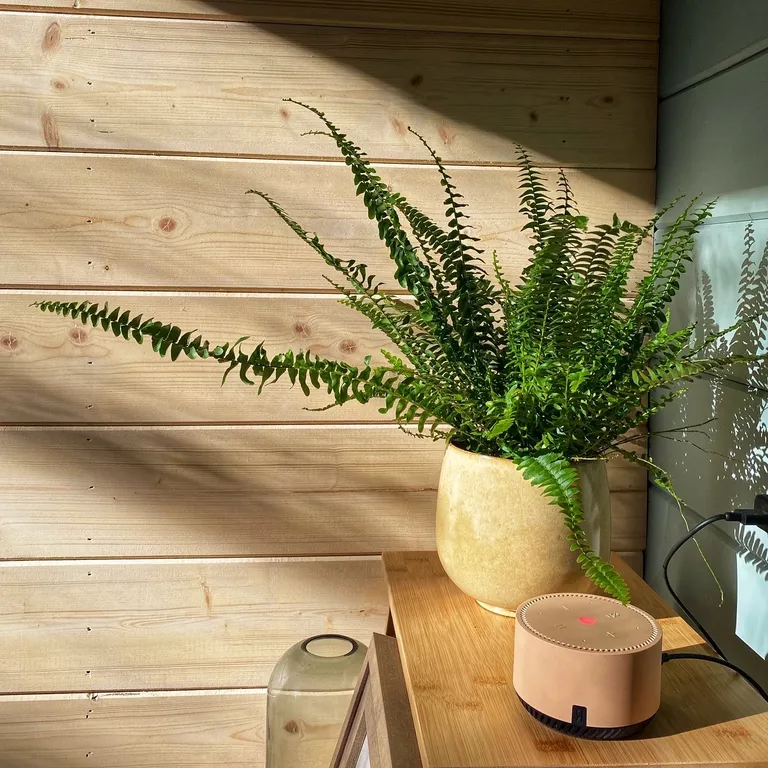 Дом на краю леса с видом на горы